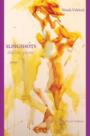 Slingshots and Love Plums by Wendy Videlock